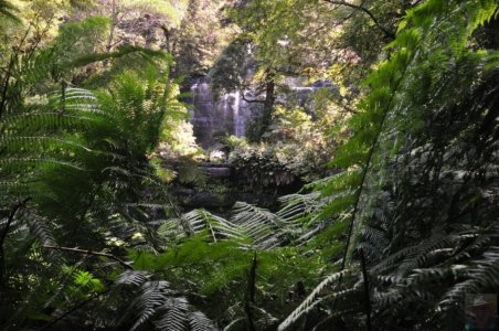 Three Falls Walk Mount Field.045 14h05m19s2020 01 21 1 Three Falls Walk Mount Field.045 14h05m19s2020 01 21 1