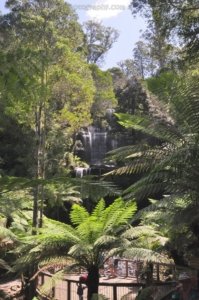 Three Falls Walk Mount Field.049 14h06m38s2020 01 21 Three Falls Walk Mount Field.049 14h06m38s2020 01 21