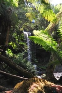 Three Falls Walk Mount Field.058 14h10m04s2020 01 21 Three Falls Walk Mount Field.058 14h10m04s2020 01 21