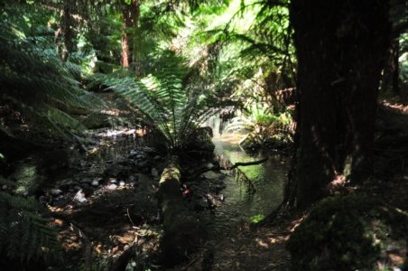 Three Falls Walk Mount Field.060 14h14m00s2020 01 21 Three Falls Walk Mount Field.060 14h14m00s2020 01 21