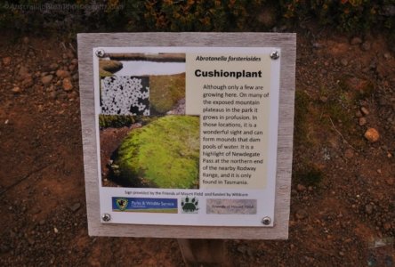 Wombat Moor.008 15h16m42s2020 01 22