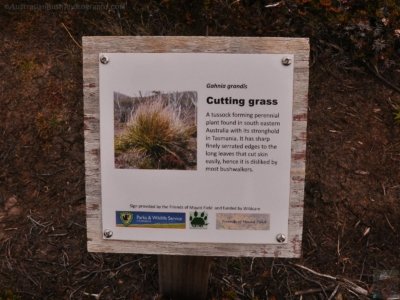 Wombat Moor.027 15h22m21s2020 01 22