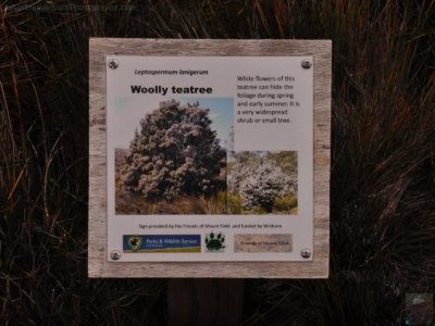 Wombat Moor.040 15h25m09s2020 01 22