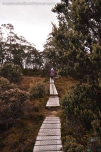 Wombat Moor.043 15h25m36s2020 01 22
