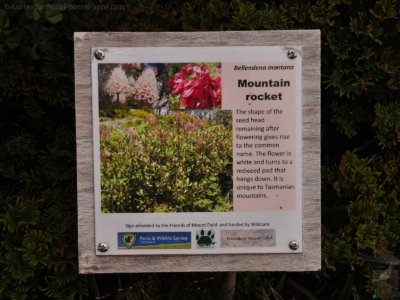 Wombat Moor.046 15h26m21s2020 01 22