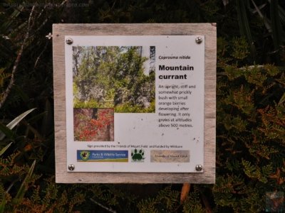 Wombat Moor.051 15h26m57s2020 01 22