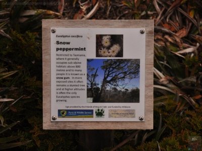 Wombat Moor.056 15h27m34s2020 01 22