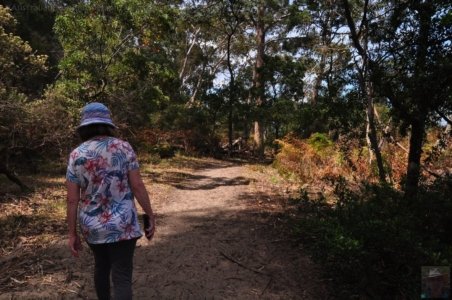 Alum Cliffs Track Kingston Beach.007 14h28m40s2020 01 29 Alum Cliffs Track Kingston Beach.007 14h28m40s2020 01 29