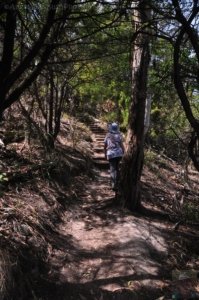 Alum Cliffs Track Kingston Beach.009 14h34m27s2020 01 29 Alum Cliffs Track Kingston Beach.009 14h34m27s2020 01 29