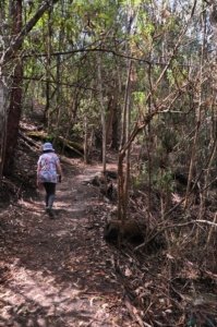 Alum Cliffs Track Kingston Beach.020 15h15m03s2020 01 29 Alum Cliffs Track Kingston Beach.020 15h15m03s2020 01 29