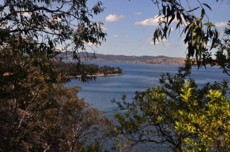 Alum Cliffs Track Kingston Beach.025 15h25m05s2020 01 29 Alum Cliffs Track Kingston Beach.025 15h25m05s2020 01 29