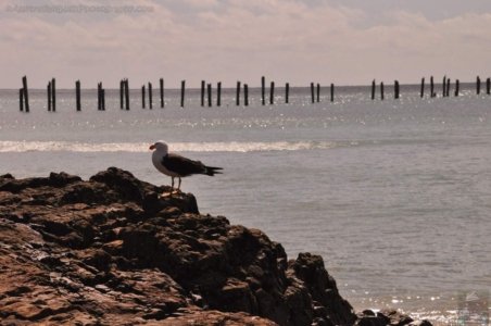 Bridport.018 11h41m36s2020 02 28 Bridport.018 11h41m36s2020 02 28