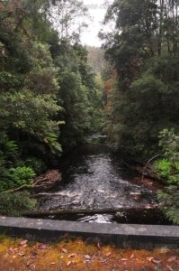 Carbon CircuitStyx River.004 11h32m13s2020 01 27