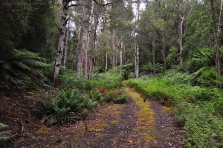 Carbon CircuitStyx River.005 11h36m53s2020 01 27 1