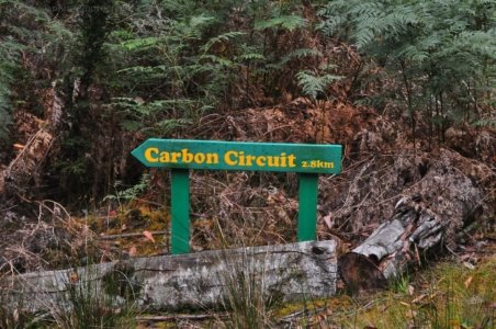Carbon CircuitStyx River.009 11h39m25s2020 01 27