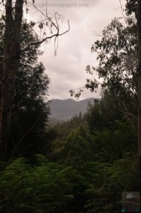 Carbon CircuitStyx River.011 11h42m40s2020 01 27