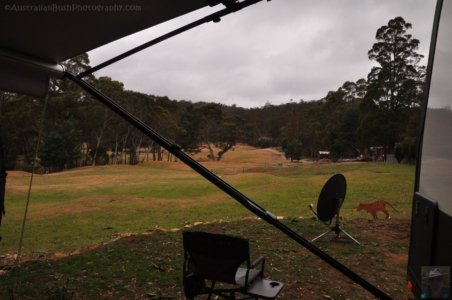 Craggy Peaks.002 14h08m23s2020 02 09 1 Craggy Peaks.002 14h08m23s2020 02 09 1