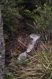 Craggy Peaks.005 14h58m42s2020 02 11 Craggy Peaks.005 14h58m42s2020 02 11