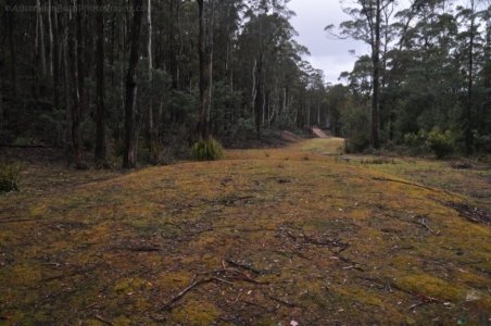 Craggy Peaks.007 15h00m32s2020 02 11 Craggy Peaks.007 15h00m32s2020 02 11