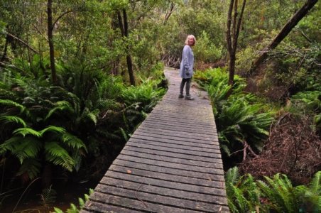 Craggy Peaks.008 15h03m45s2020 02 11 Craggy Peaks.008 15h03m45s2020 02 11