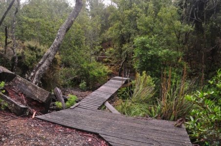 Craggy Peaks.009 15h09m59s2020 02 11 Craggy Peaks.009 15h09m59s2020 02 11