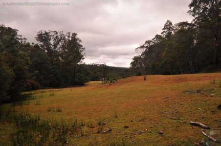 Craggy Peaks.010 15h14m54s2020 02 11 Craggy Peaks.010 15h14m54s2020 02 11