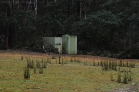 Craggy Peaks.011 15h17m43s2020 02 11 Craggy Peaks.011 15h17m43s2020 02 11