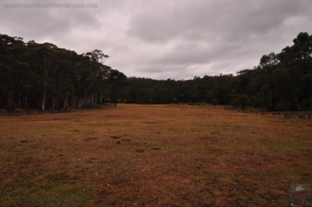 Craggy Peaks.012 15h27m22s2020 02 11 Craggy Peaks.012 15h27m22s2020 02 11