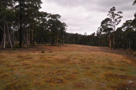 Craggy Peaks.015 15h40m11s2020 02 11 Craggy Peaks.015 15h40m11s2020 02 11