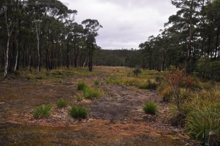 Craggy Peaks.016 15h41m19s2020 02 11 Craggy Peaks.016 15h41m19s2020 02 11