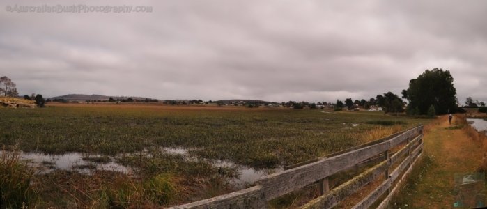 Lake Dulverton First Bund Wall Lake Dulverton First Bund Wall