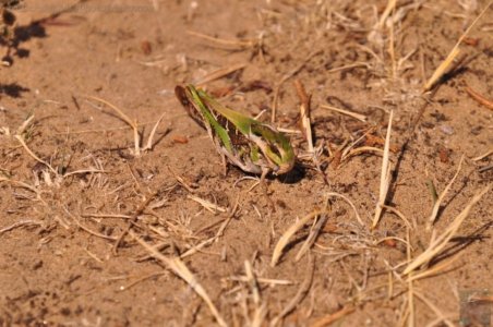 Oatlands2.041 14h36m05s2020 02 07 Oatlands2.041 14h36m05s2020 02 07
