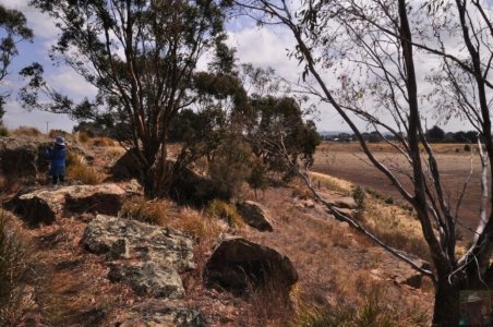 Oatlands2.049 14h42m10s2020 02 07 Oatlands2.049 14h42m10s2020 02 07