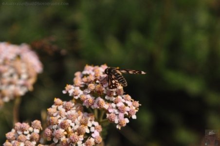 Oatlands2.051 14h52m17s2020 02 07 Oatlands2.051 14h52m17s2020 02 07