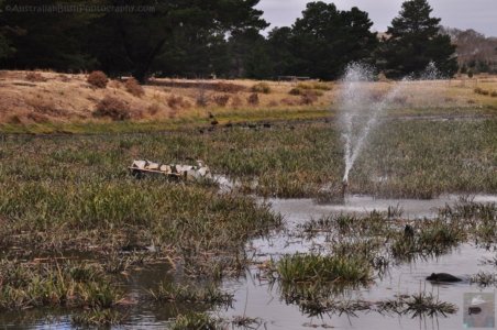 Oatlands2.106 15h01m29s2020 02 08 Oatlands2.106 15h01m29s2020 02 08