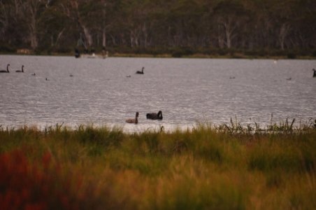 Penstock Lagoon.007sh 16h08m26s2020 02 01 scaled Penstock Lagoon.007sh 16h08m26s2020 02 01 scaled