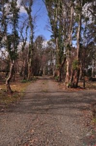 Penstock Lagoon.014 16h16m36s2020 02 02 Penstock Lagoon.014 16h16m36s2020 02 02