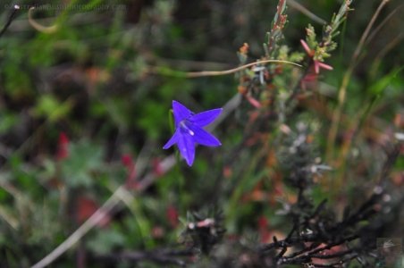 Penstock Lagoon.021 16h27m26s2020 02 02 Penstock Lagoon.021 16h27m26s2020 02 02