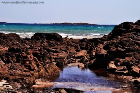 Petal Point.076 14h19m29s2020 02 20 Petal Point.076 14h19m29s2020 02 20