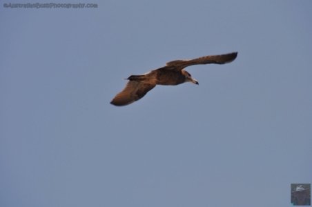 Petal Point.083 14h22m43s2020 02 20 Petal Point.083 14h22m43s2020 02 20