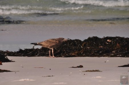 Policemans Point.031 16h35m59s2020 02 16 Policemans Point.031 16h35m59s2020 02 16