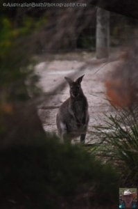 Ransons Beach.008 14h45m36s2020 02 24 Ransons Beach.008 14h45m36s2020 02 24