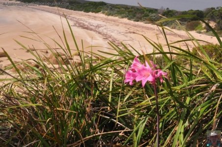 Ransons Beach.018 10h35m34s2020 02 25 Ransons Beach.018 10h35m34s2020 02 25