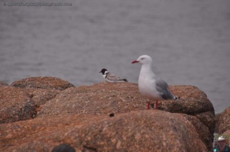 Ransons Beach.054 15h03m26s2020 02 25 Ransons Beach.054 15h03m26s2020 02 25