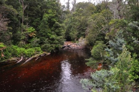 Styx River Bridge and junction.005 12h09m07s2020 01 27