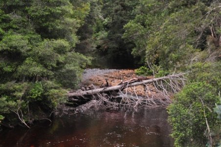 Styx River Bridge and junction.006 12h10m03s2020 01 27