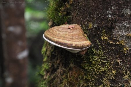 Styx River Walk.003 13h21m04s2020 01 27 Styx River Walk.003 13h21m04s2020 01 27