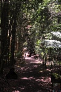 Styx River Walk.005 13h22m47s2020 01 27 Styx River Walk.005 13h22m47s2020 01 27