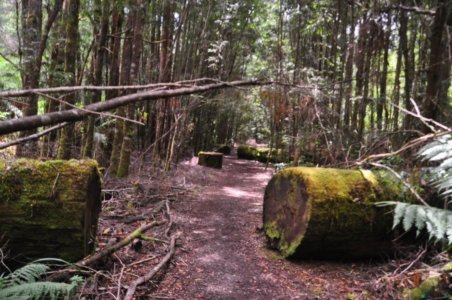 Styx River Walk.006 13h23m25s2020 01 27 Styx River Walk.006 13h23m25s2020 01 27