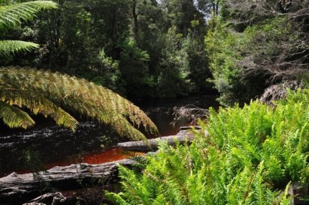 Styx River Walk.007 13h26m54s2020 01 27 Styx River Walk.007 13h26m54s2020 01 27